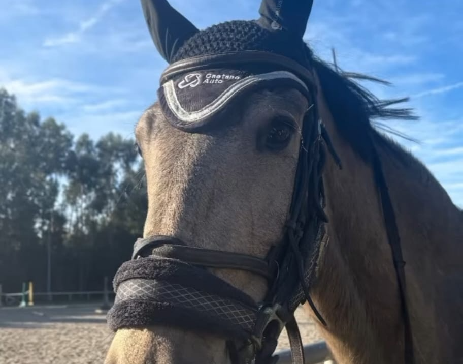 Hera