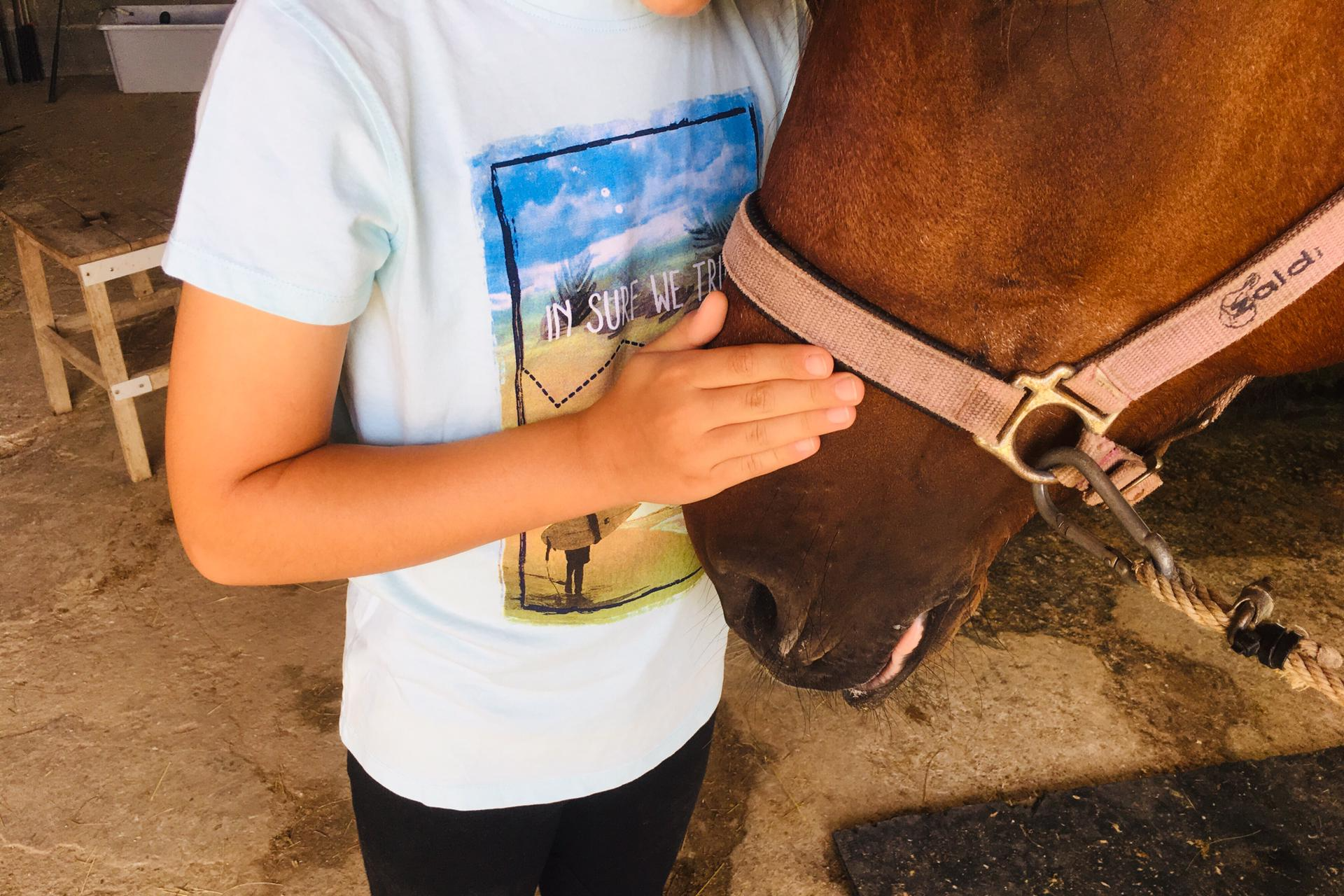 Equine Assisted Therapy