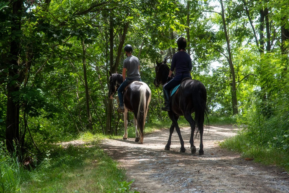 Passeio a Cavalo pela Natureza