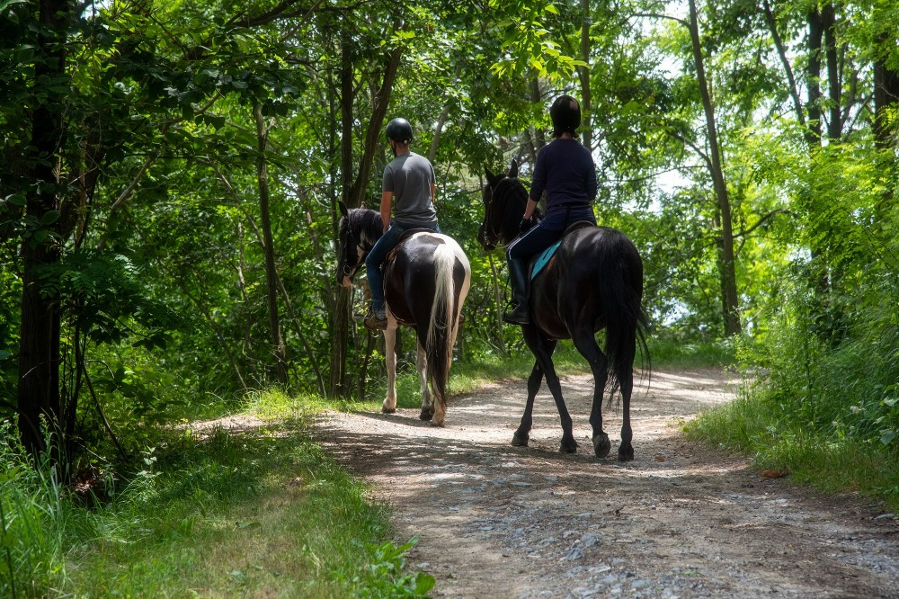 Horseback riding through nature