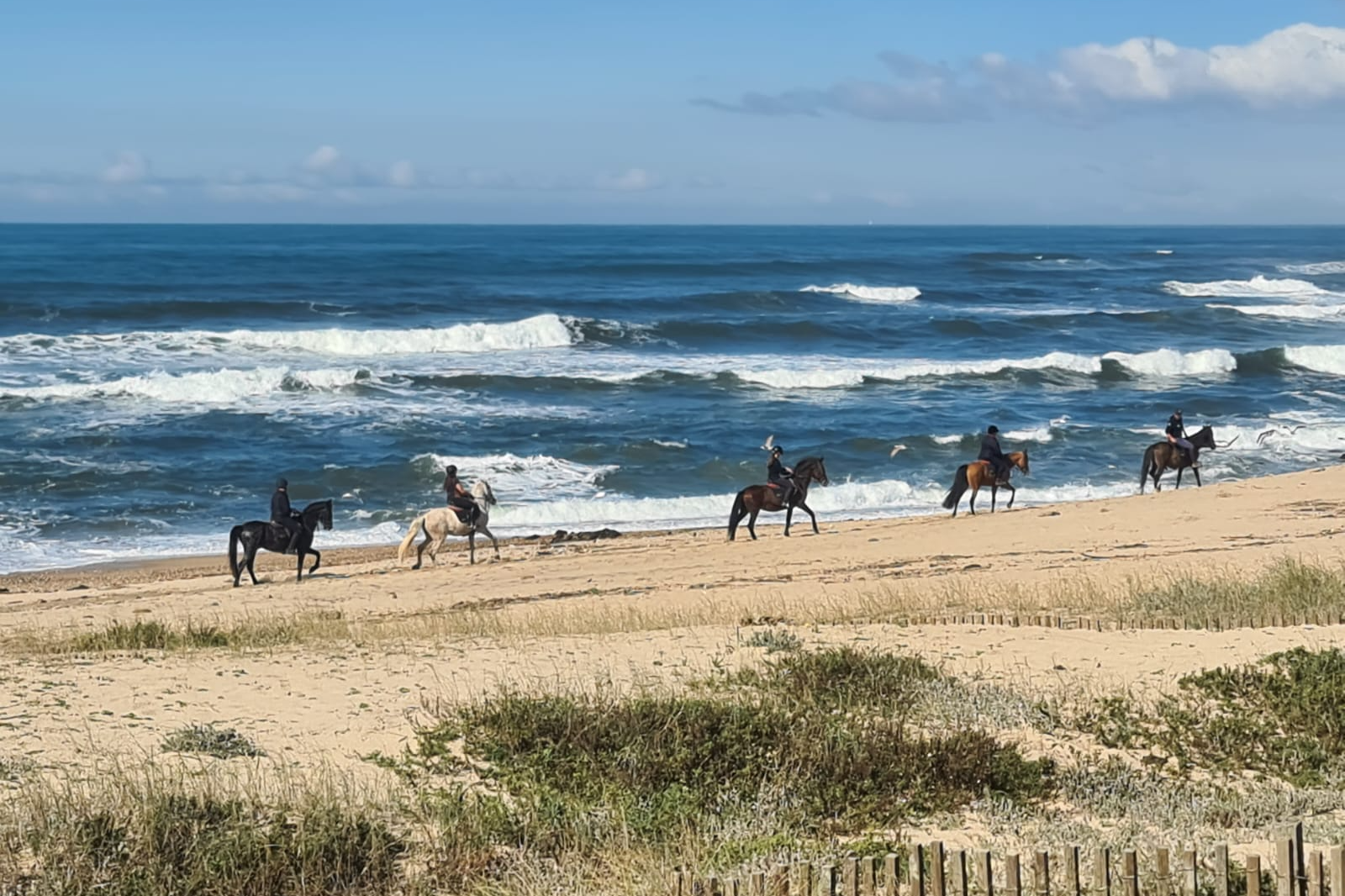 Horseback Riding on the Beach*