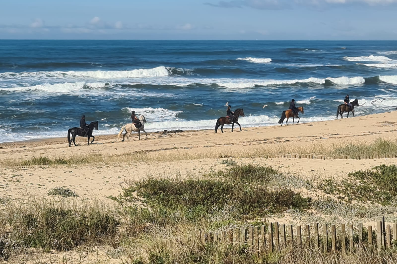 Passeio a Cavalo na Praia*