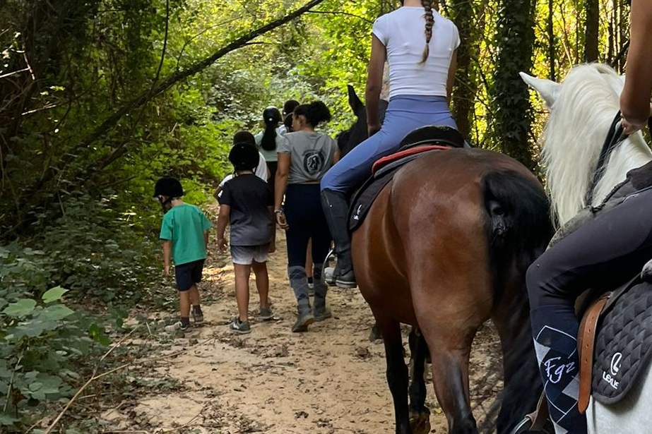 Campos de férias / atividades para crianças